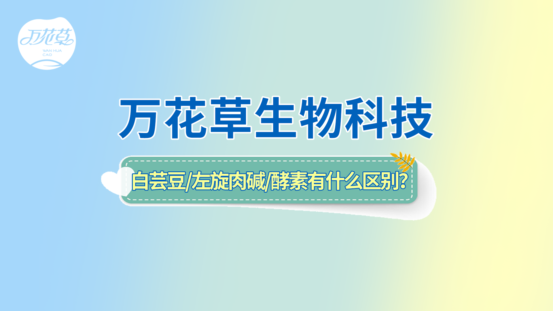 白蕓豆、左旋肉堿、嗨吃酵素有什么區(qū)別？