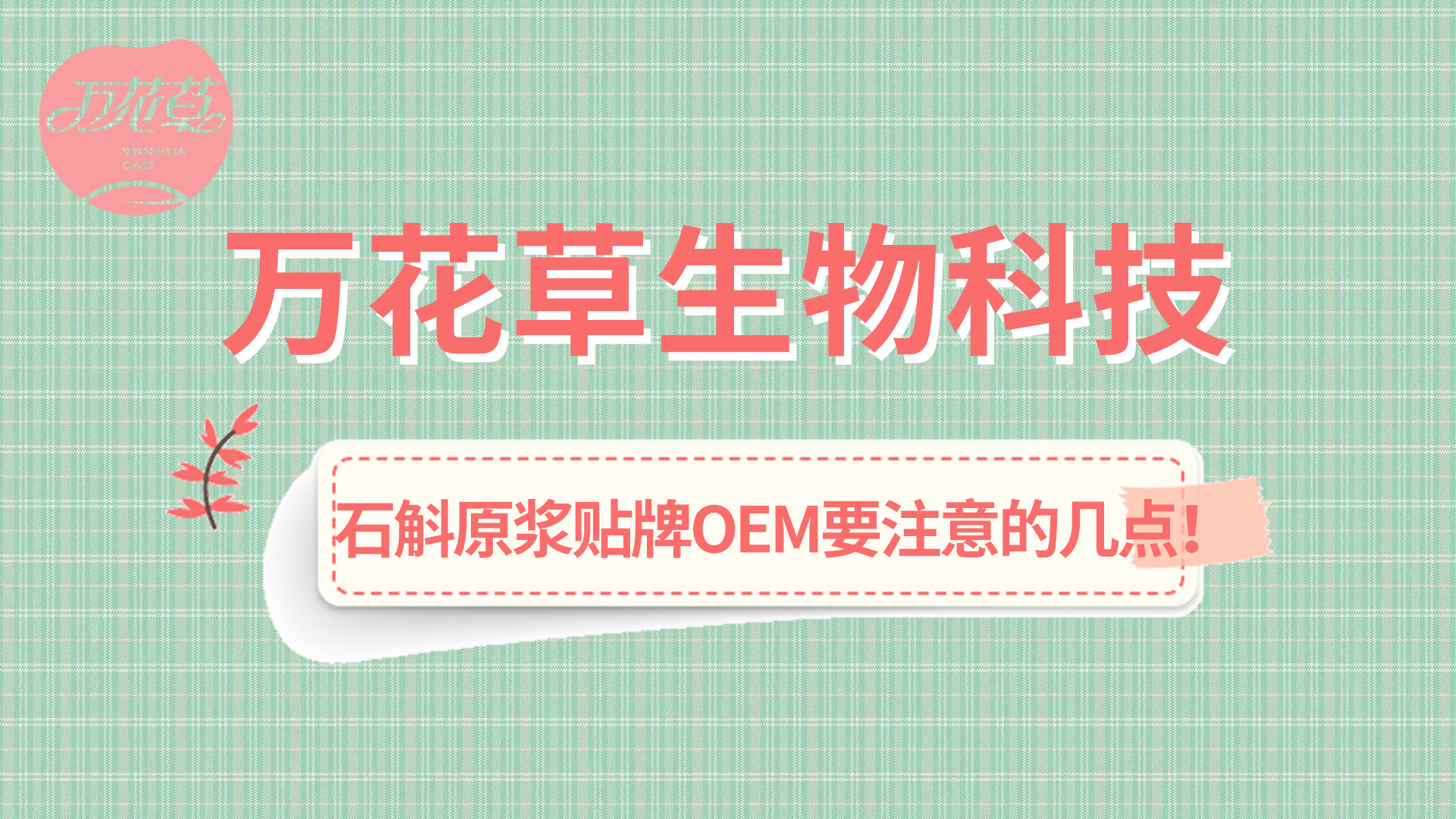 石斛原漿貼牌oem您需要注意哪幾點？